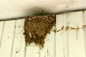 Klick op to'n Vergr&ouml;ttern!