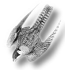 De Wannerfalk as D&uuml;senjet