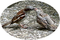 Vadder un Kind. Klick op to'n Vergr&ouml;ttern!