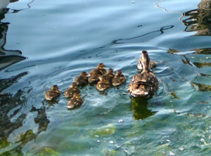 ...un tsch&uuml;&szlig;!