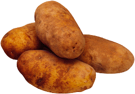 ...kraftvull tobieten köönt!