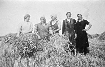 Aarn gistern: Arbeit f&ouml;r vele -- wenn ok harte Arbeit!